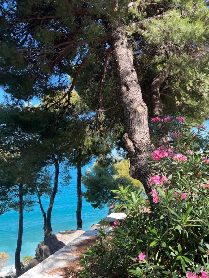 Sunny Breeze Apartment Vlora Kültér fotó